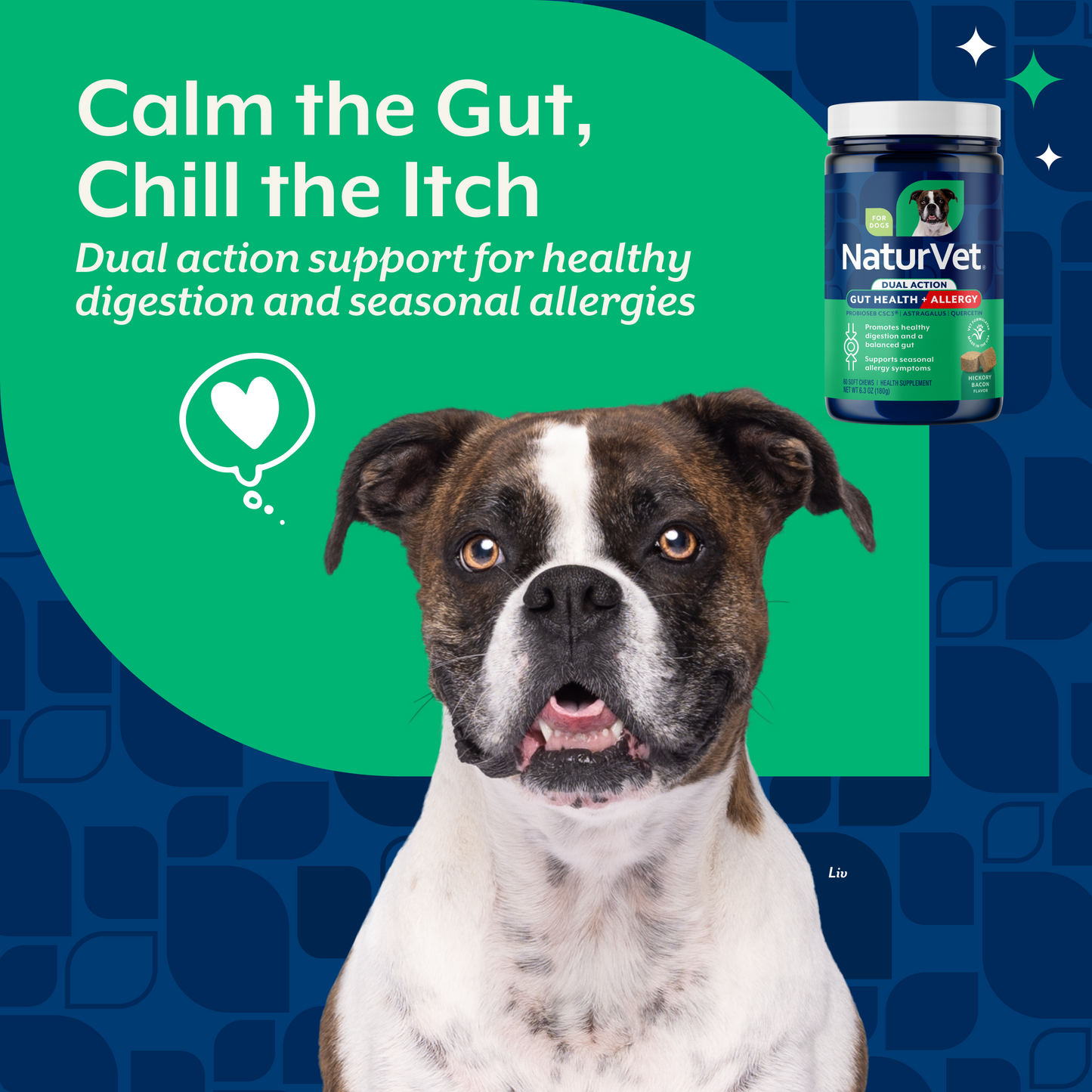 Gut Health + Allergy Dual Action Soft Chews