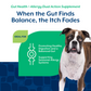 Gut Health + Allergy Dual Action Soft Chews