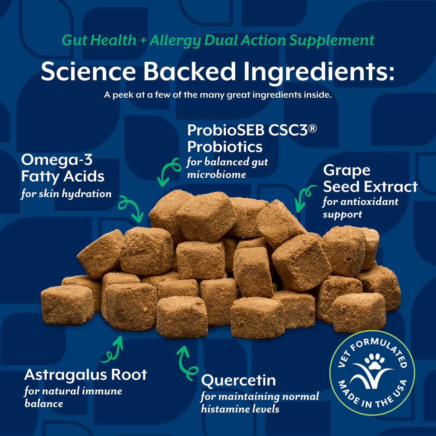 Gut Health + Allergy Dual Action Soft Chews