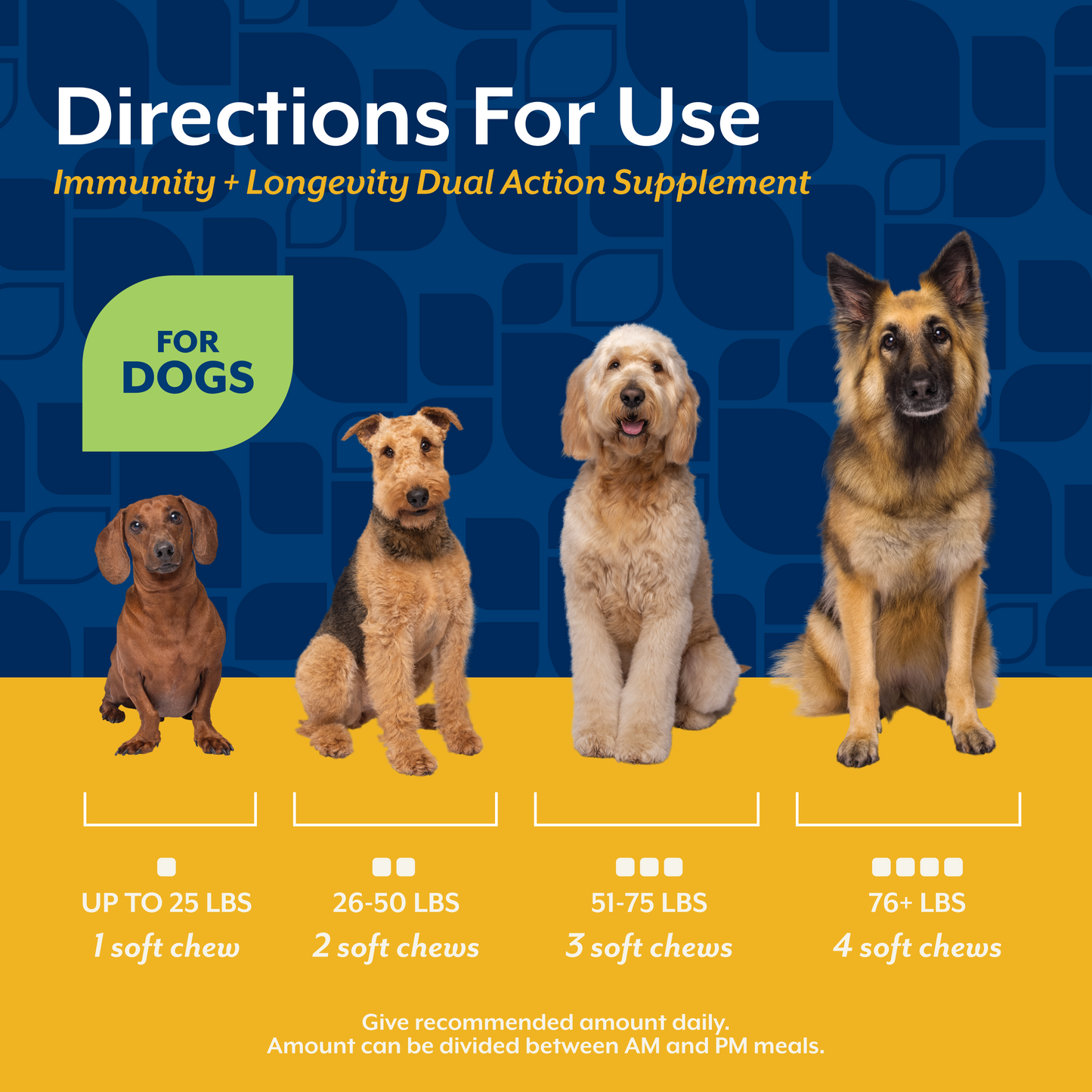 Immunity + Longevity Dual Action Soft Chews