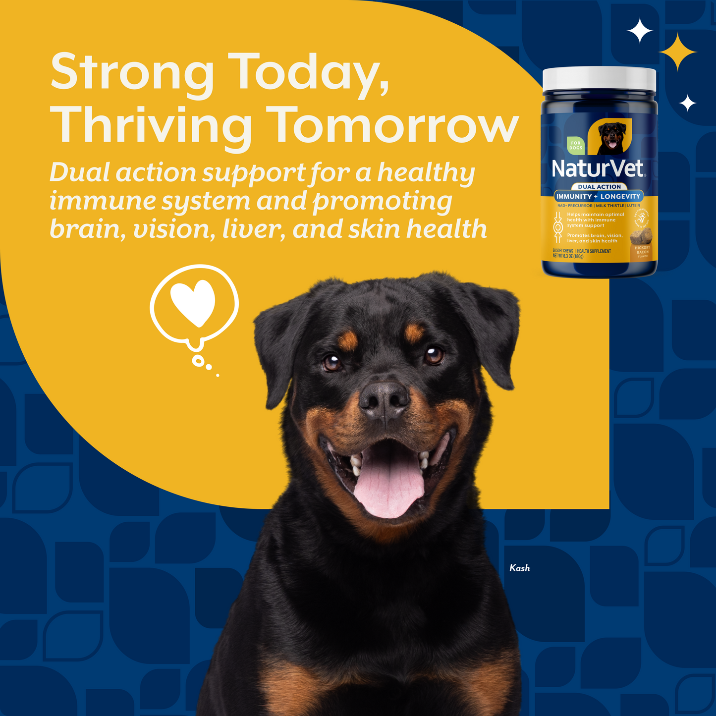 Immunity + Longevity Dual Action Soft Chews