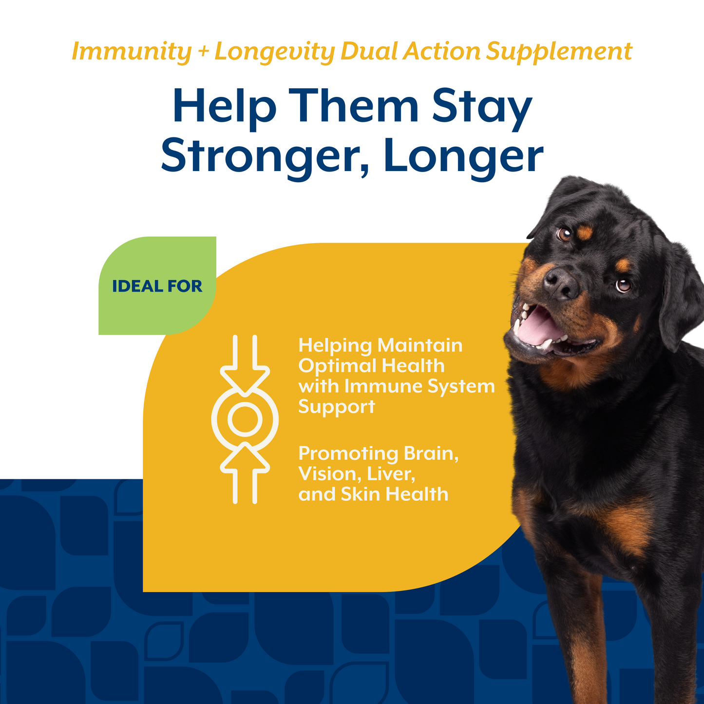 Immunity + Longevity Dual Action Soft Chews