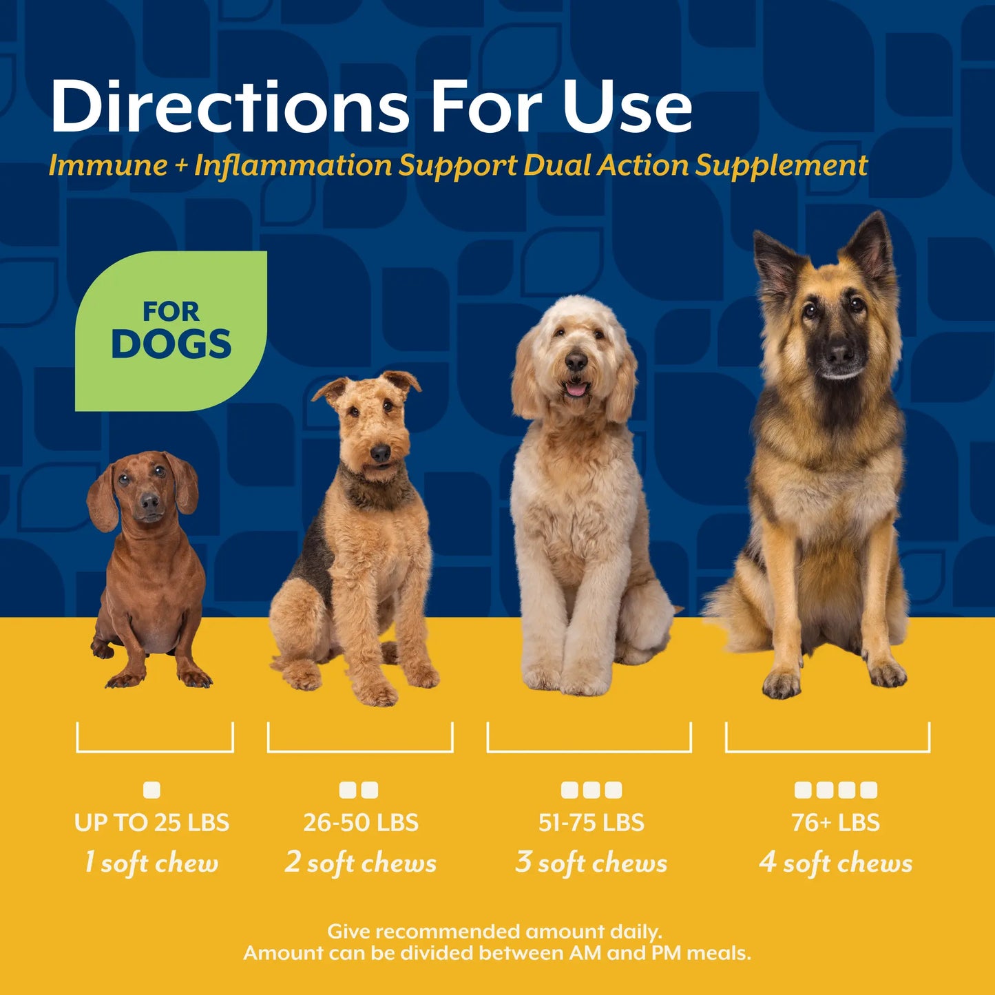 Immunity + Anti-Inflammation Dual Action Soft Chews