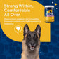 Immunity + Anti-Inflammation Dual Action Soft Chews
