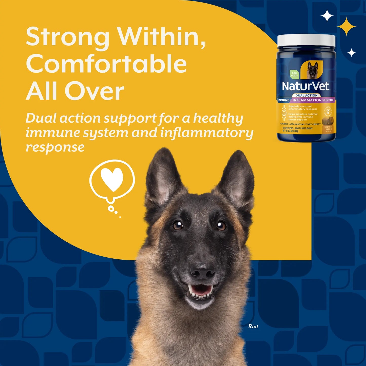 Immunity + Anti-Inflammation Dual Action Soft Chews