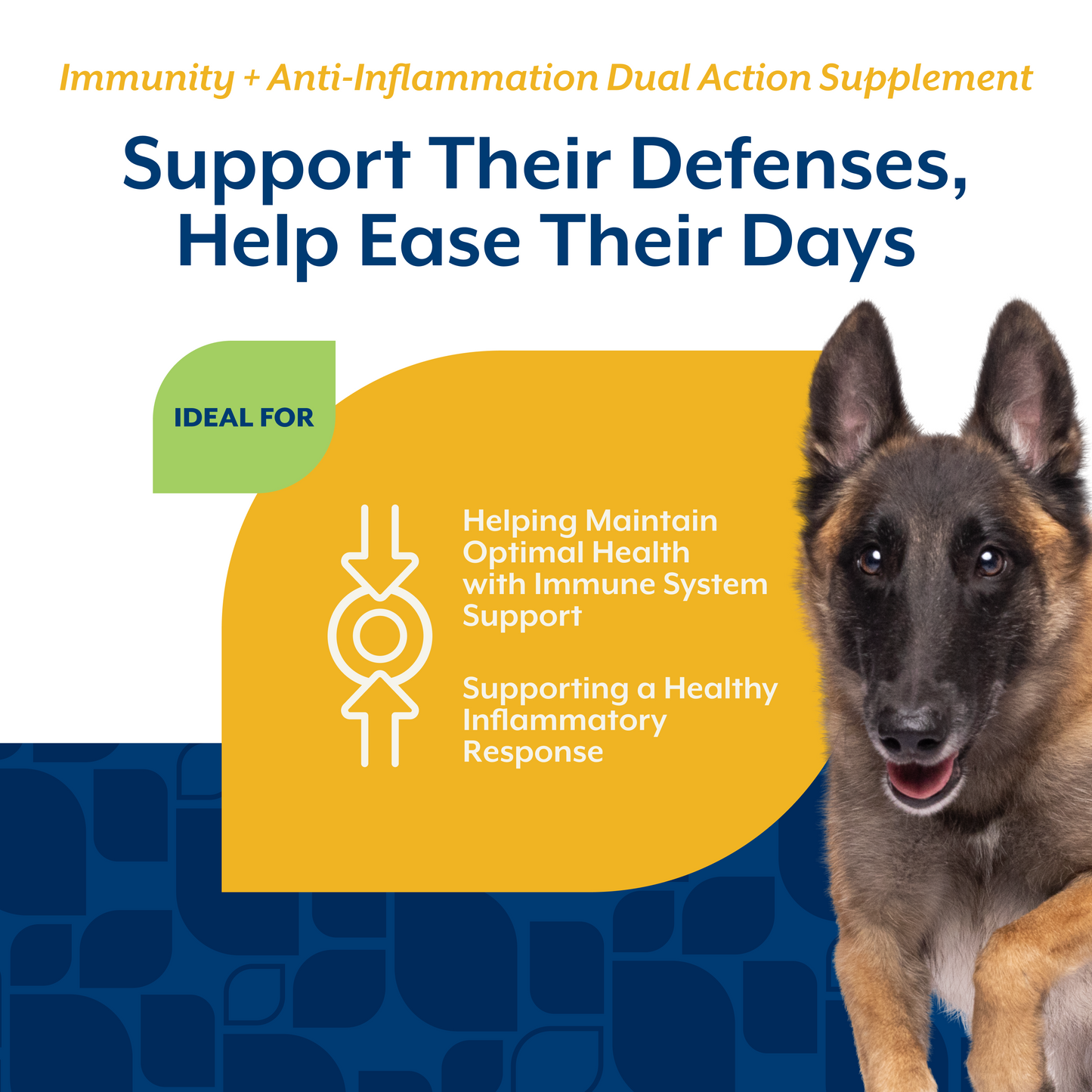 Immunity + Anti-Inflammation Dual Action Soft Chews