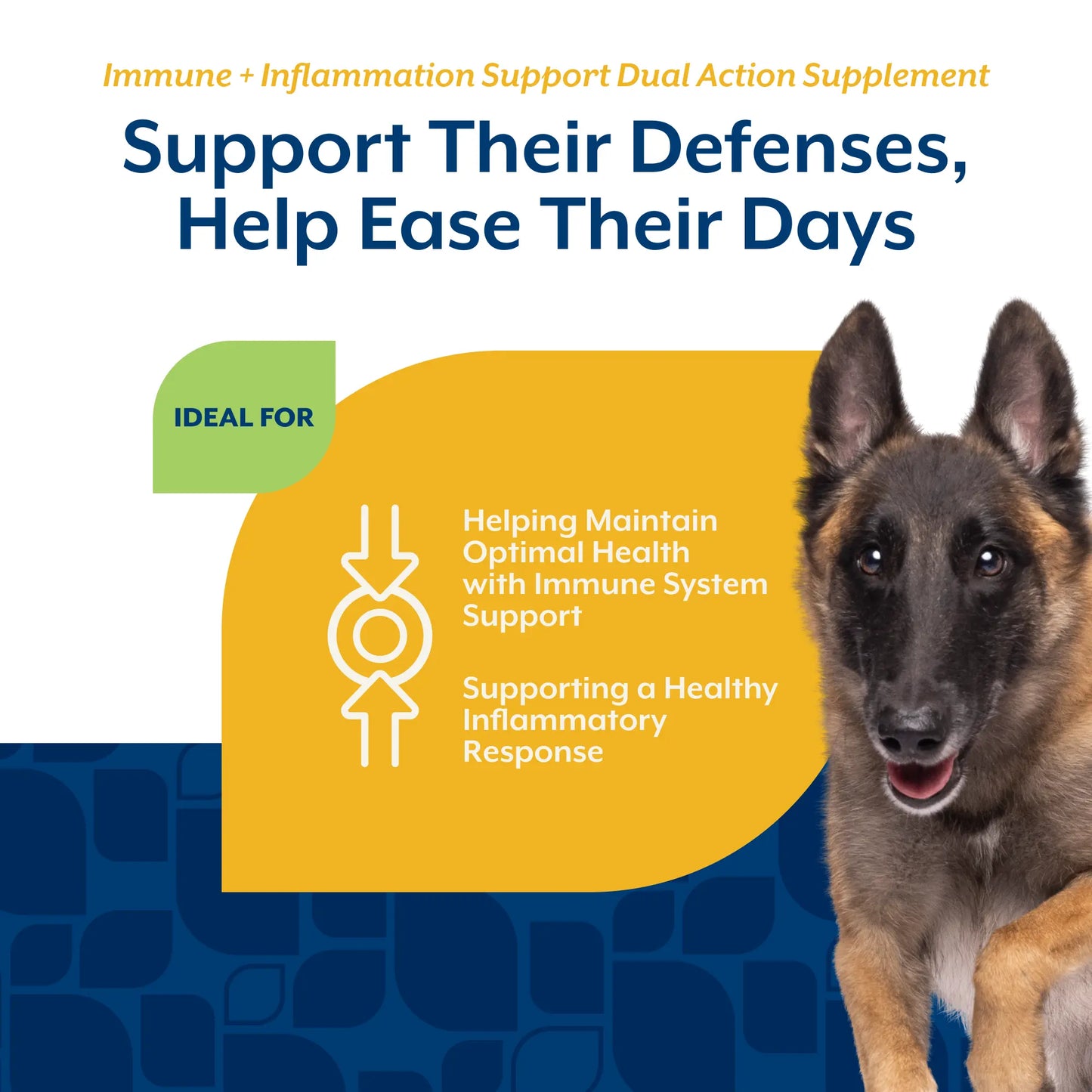 Immunity + Anti-Inflammation Dual Action Soft Chews