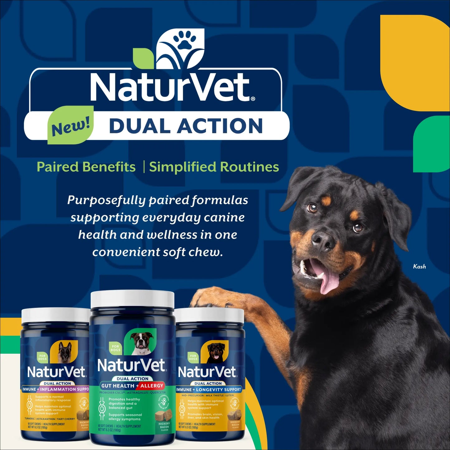 Immunity + Anti-Inflammation Dual Action Soft Chews