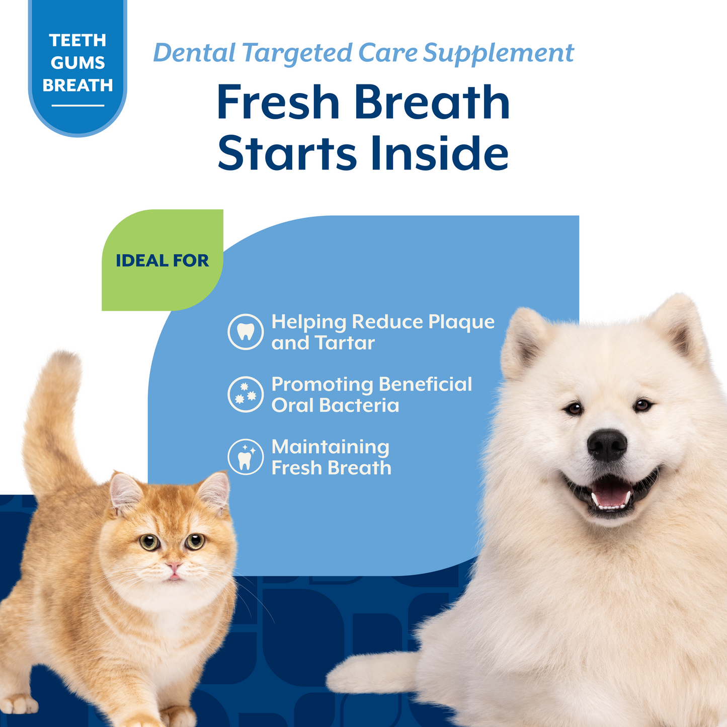 Dental Targeted Care Soft Chews for Dogs and Cats
