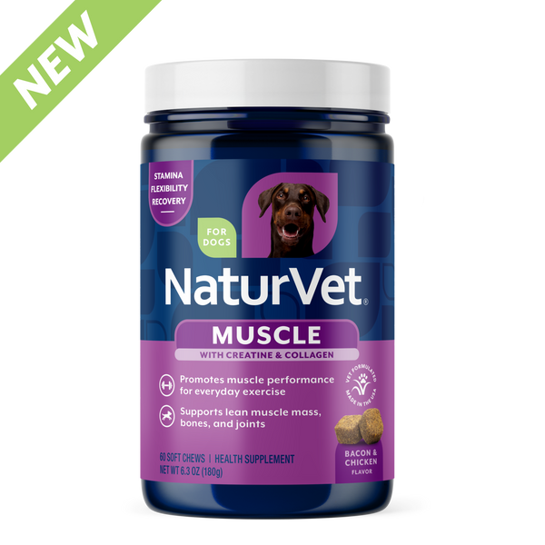 Muscle Targeted Care Soft Chews