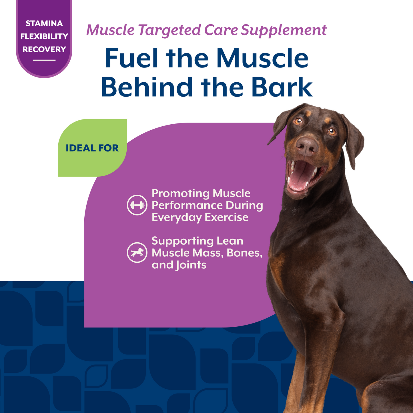 Muscle Targeted Care Soft Chews