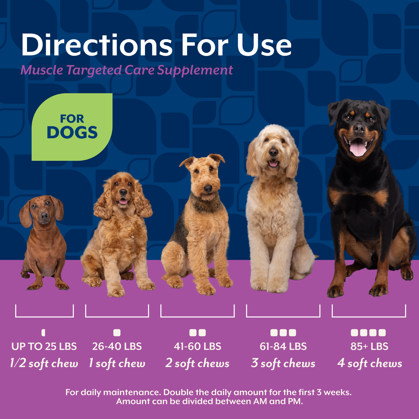 Muscle Targeted Care Soft Chews