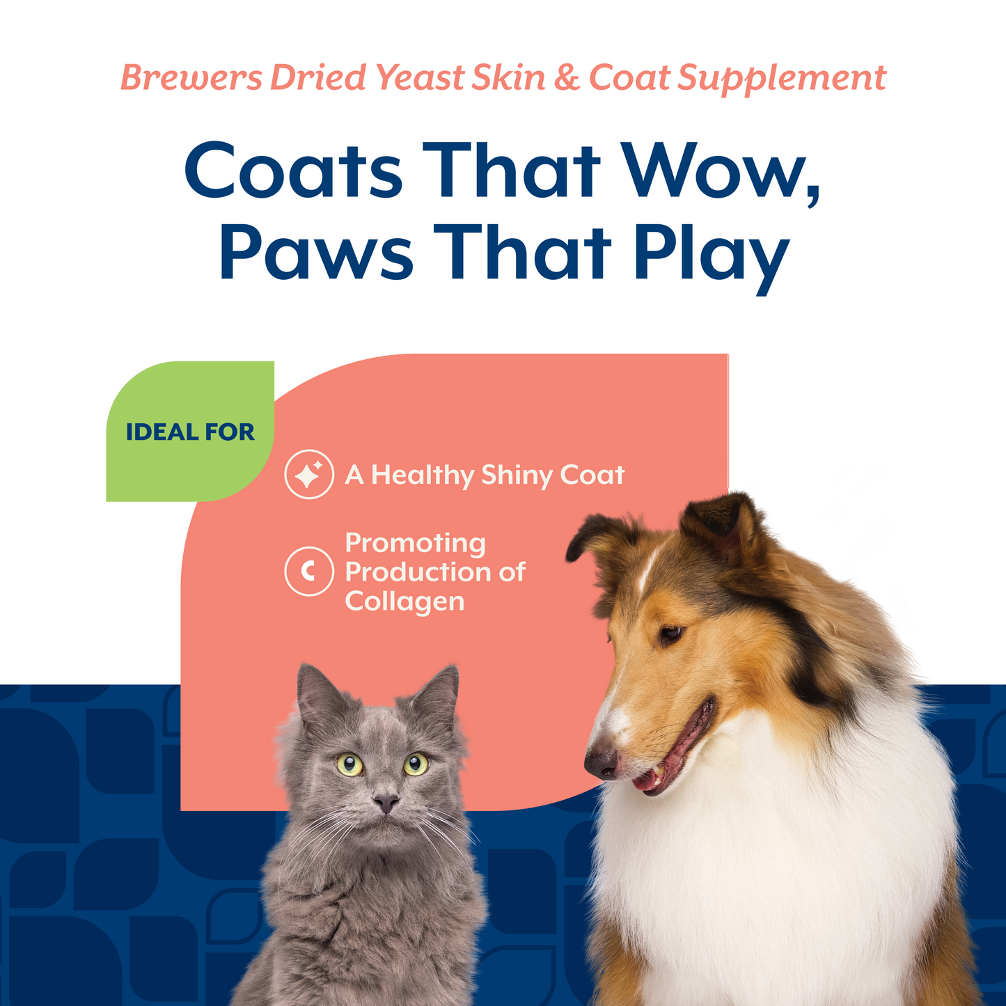Brewers Dried Yeast with Vitamins Tablets for Dogs and Cats