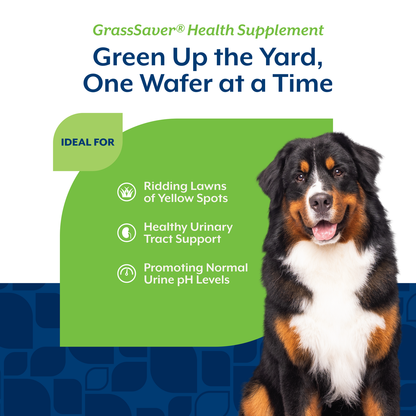 GrassSaver® Wafers