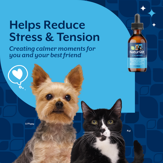 Quiet Moments® Calming Drops Calming Aid - NaturVet®
