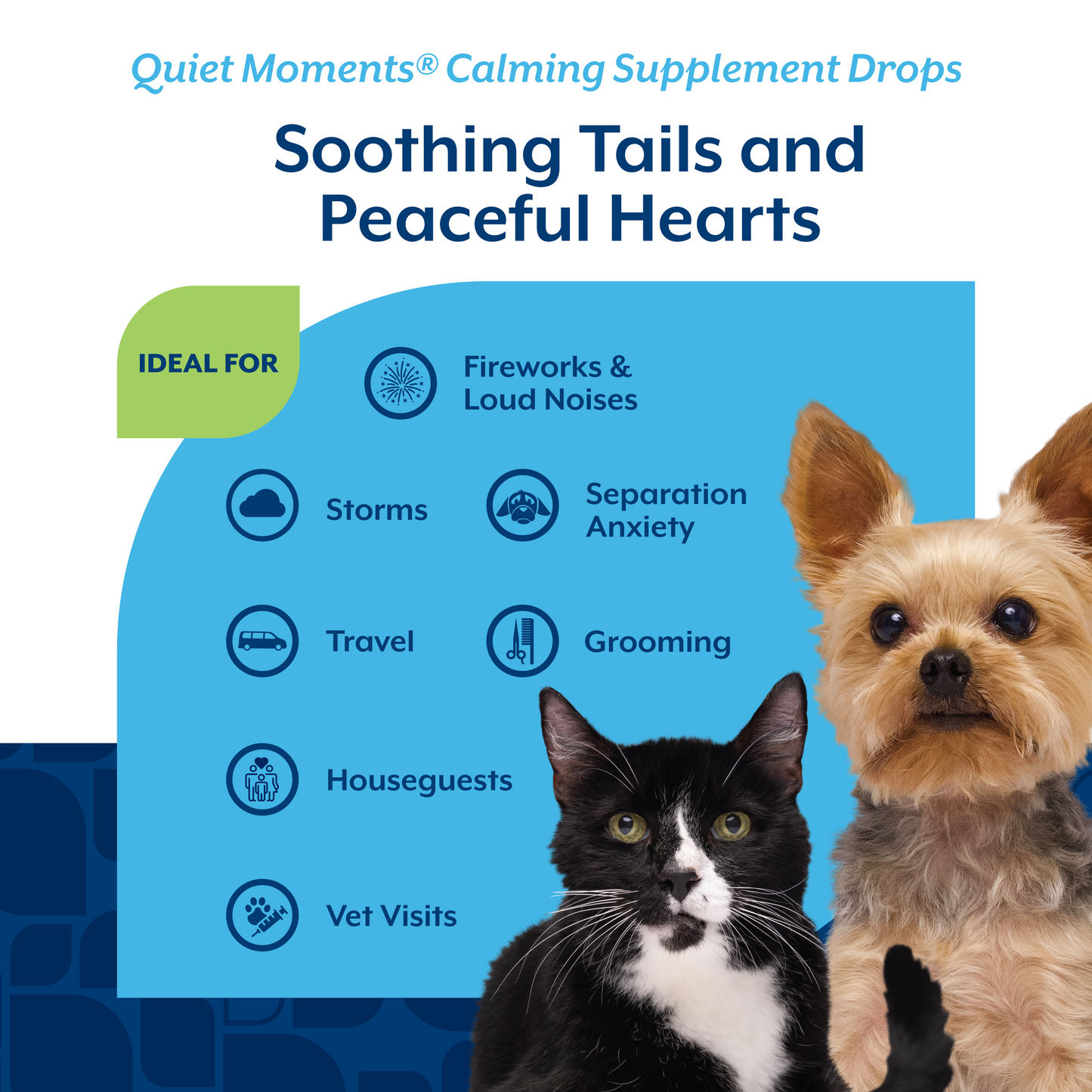 Quiet Moments® Calming Drops for Dogs and Cats