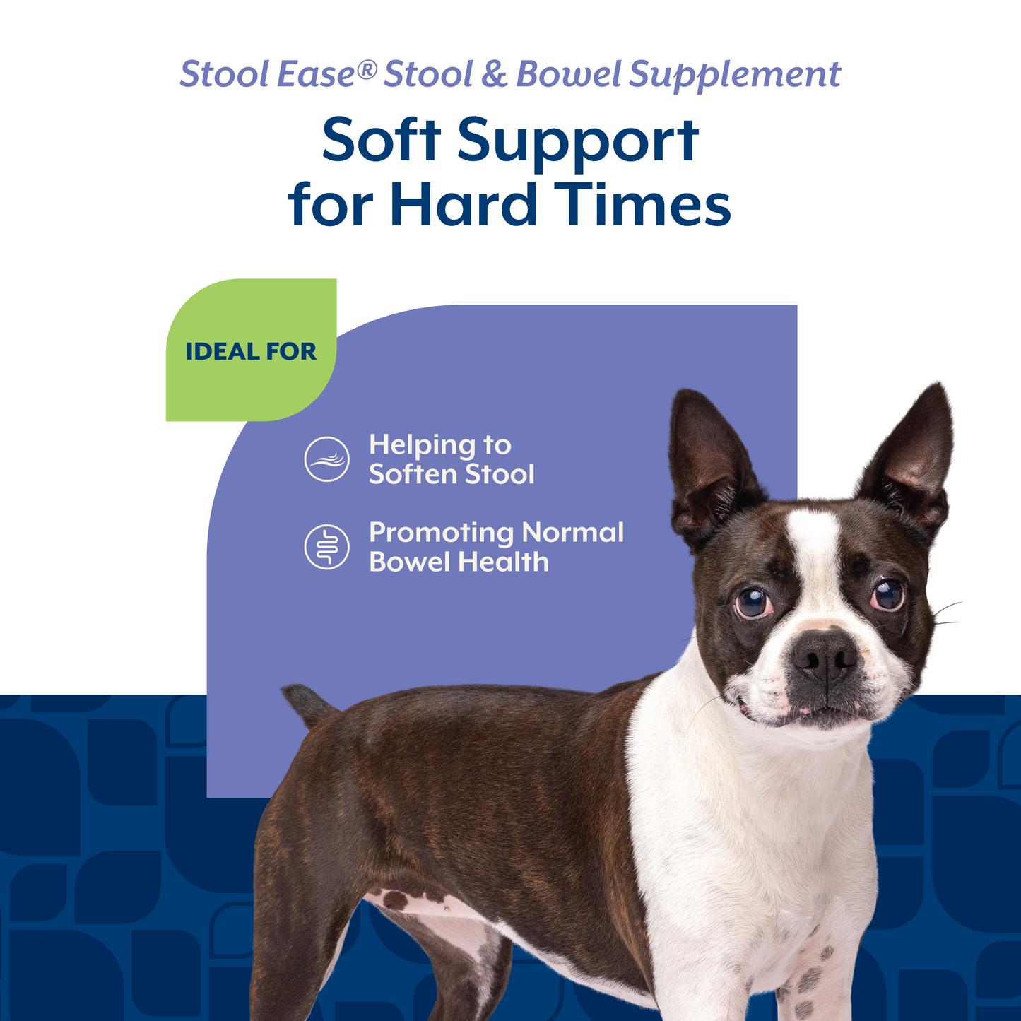Stool Ease® Soft Chews
