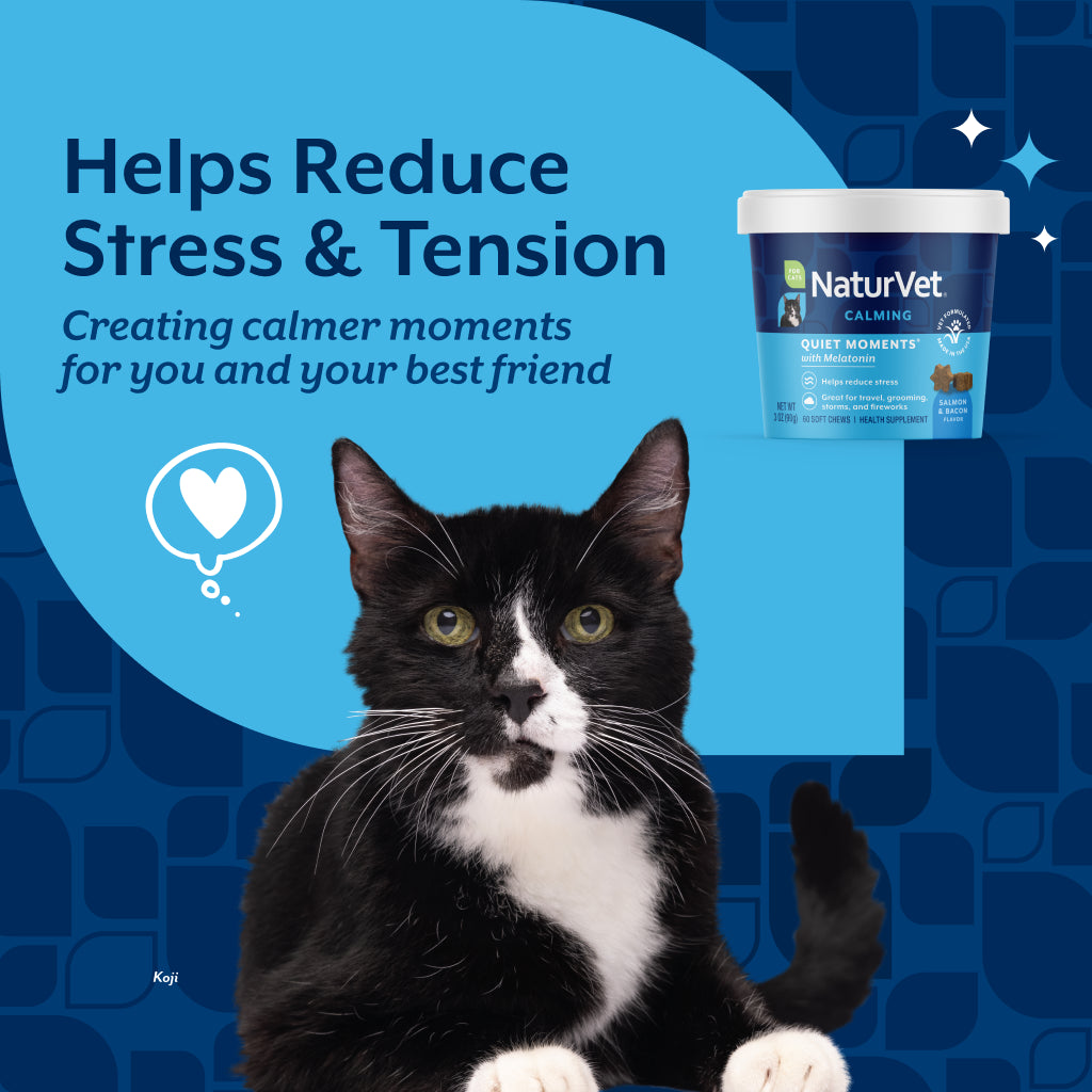 Quiet Moments® Calming Soft Chews for Cats