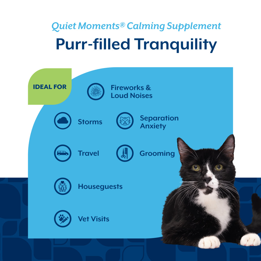 Quiet Moments® Calming Soft Chews for Cats