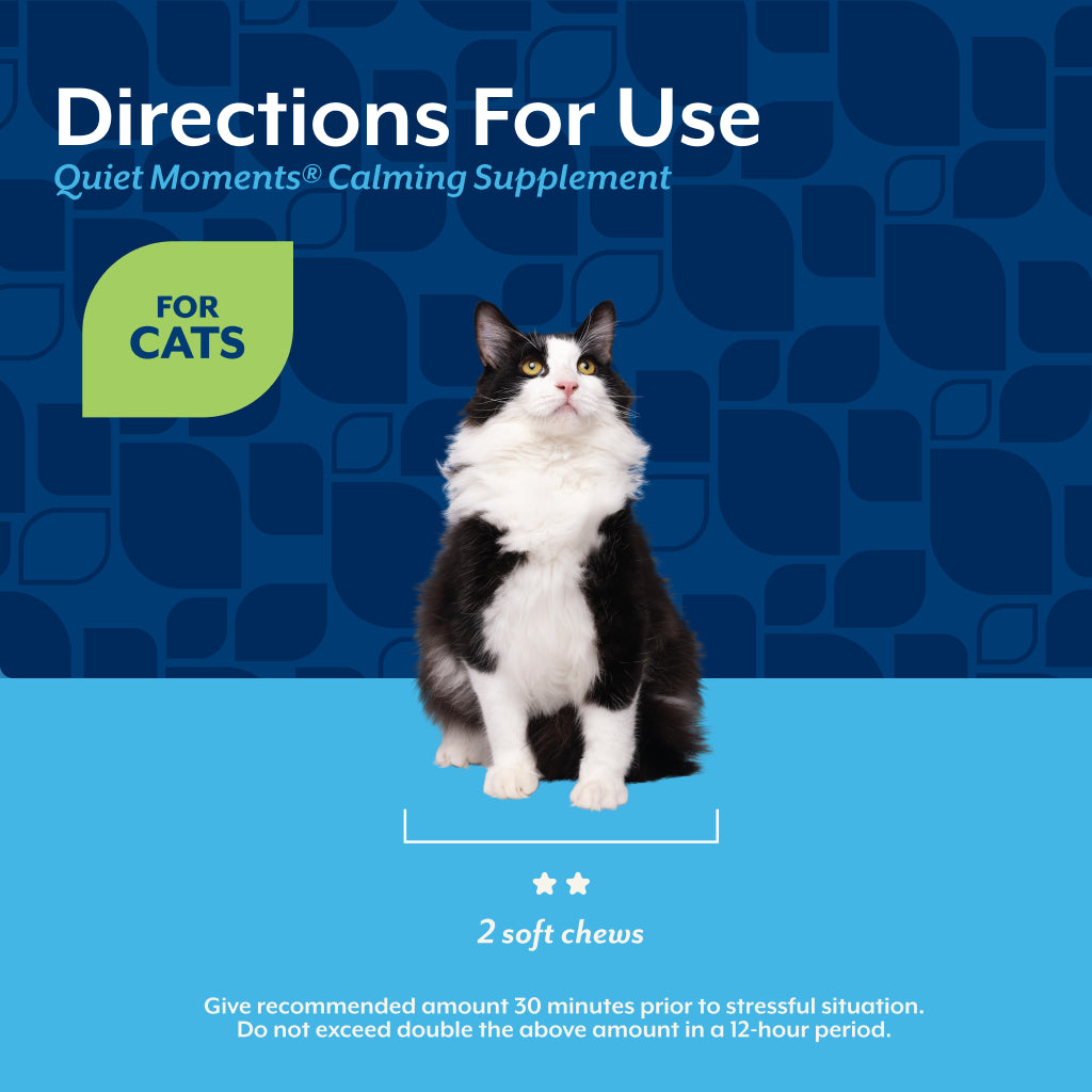 Quiet Moments® Calming Soft Chews for Cats