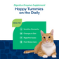 Digestive Enzymes Soft Chews for Cats