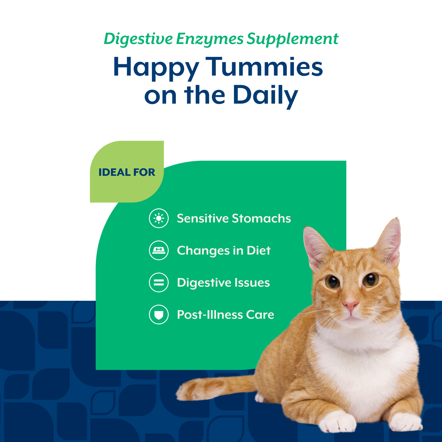 Digestive Enzymes Soft Chews for Cats