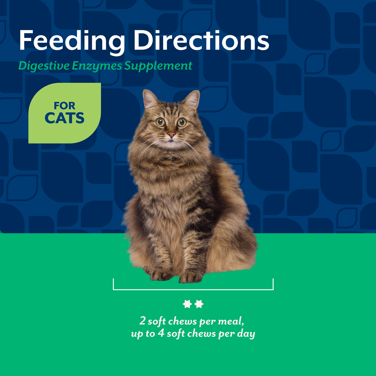 Digestive Enzymes Soft Chews for Cats