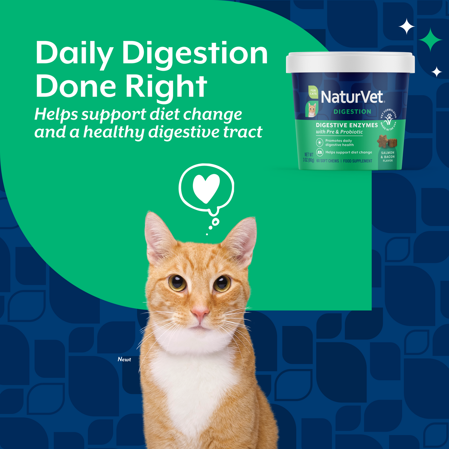 Digestive Enzymes Soft Chews for Cats