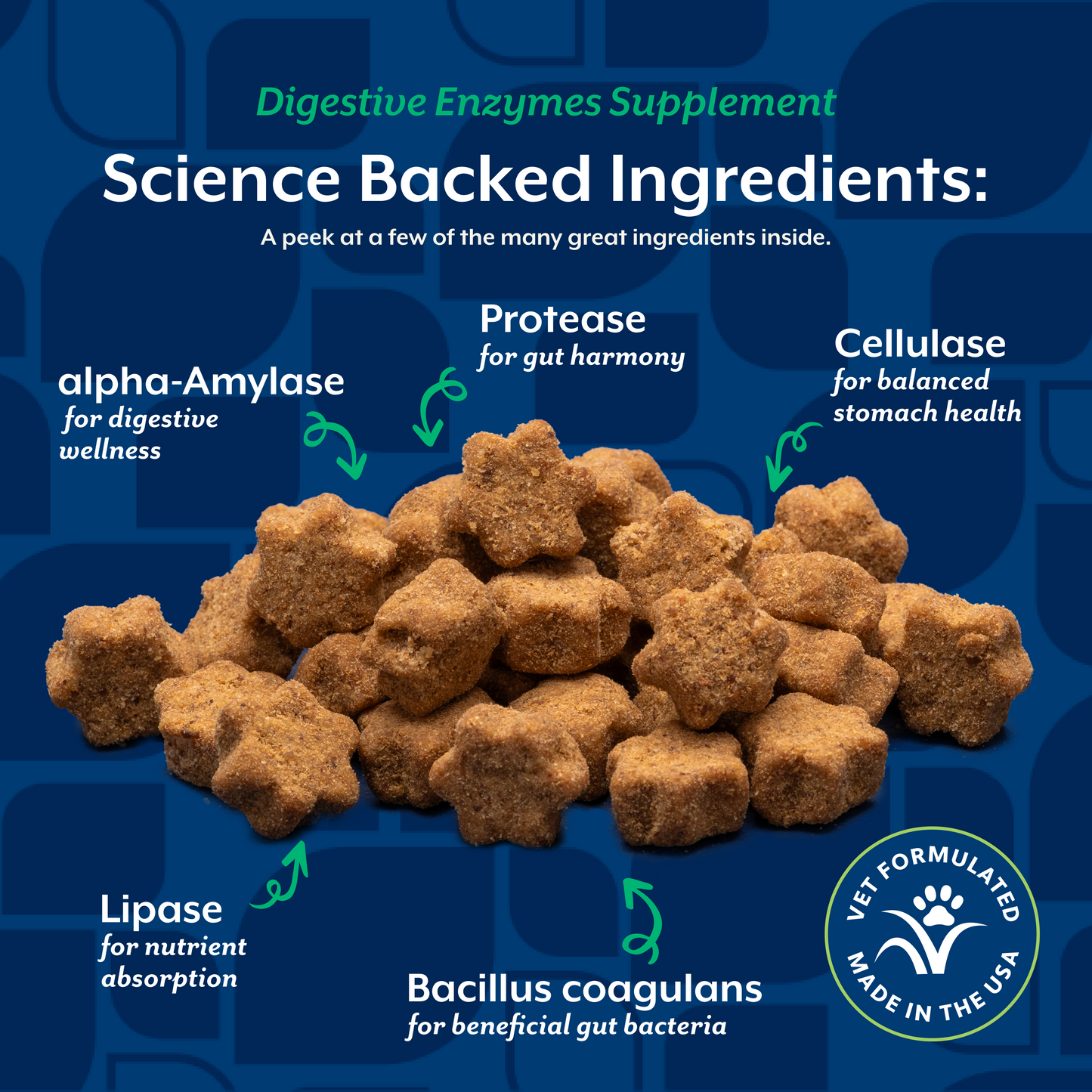 Digestive Enzymes Soft Chews for Cats