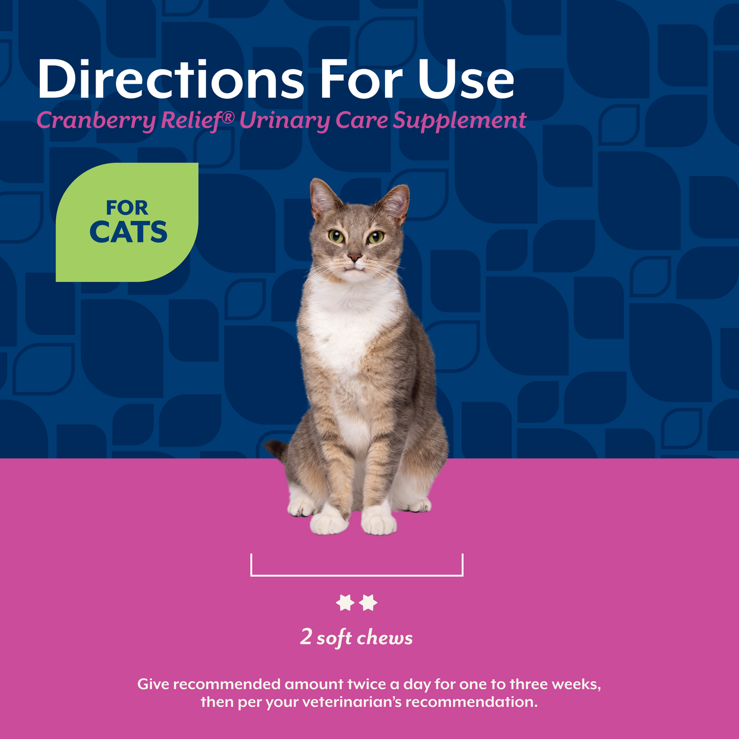 Cranberry Relief® Soft Chews for Cats