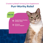Cranberry Relief® Soft Chews for Cats