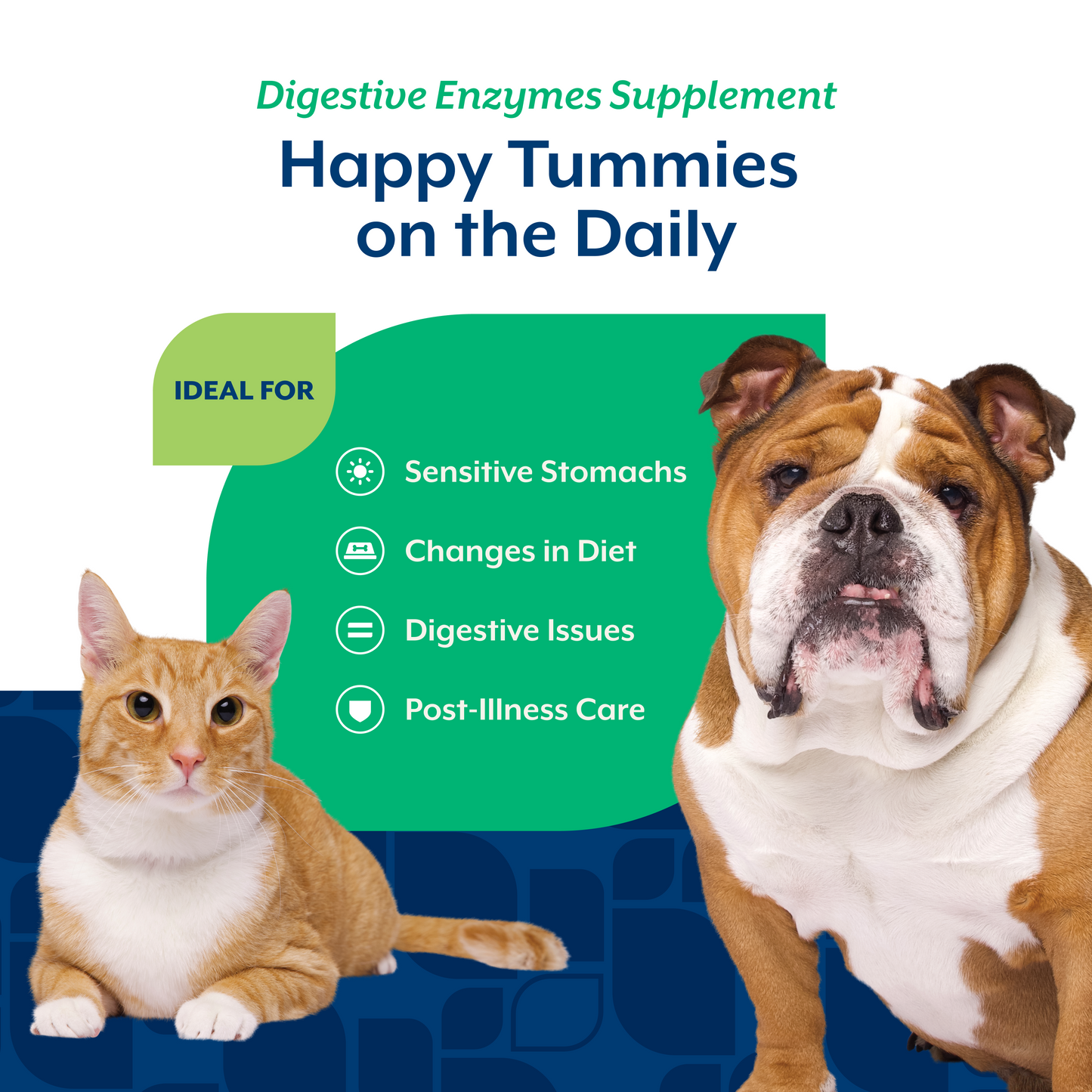Digestive Enzymes Chewable Tablets for Dogs and Cats