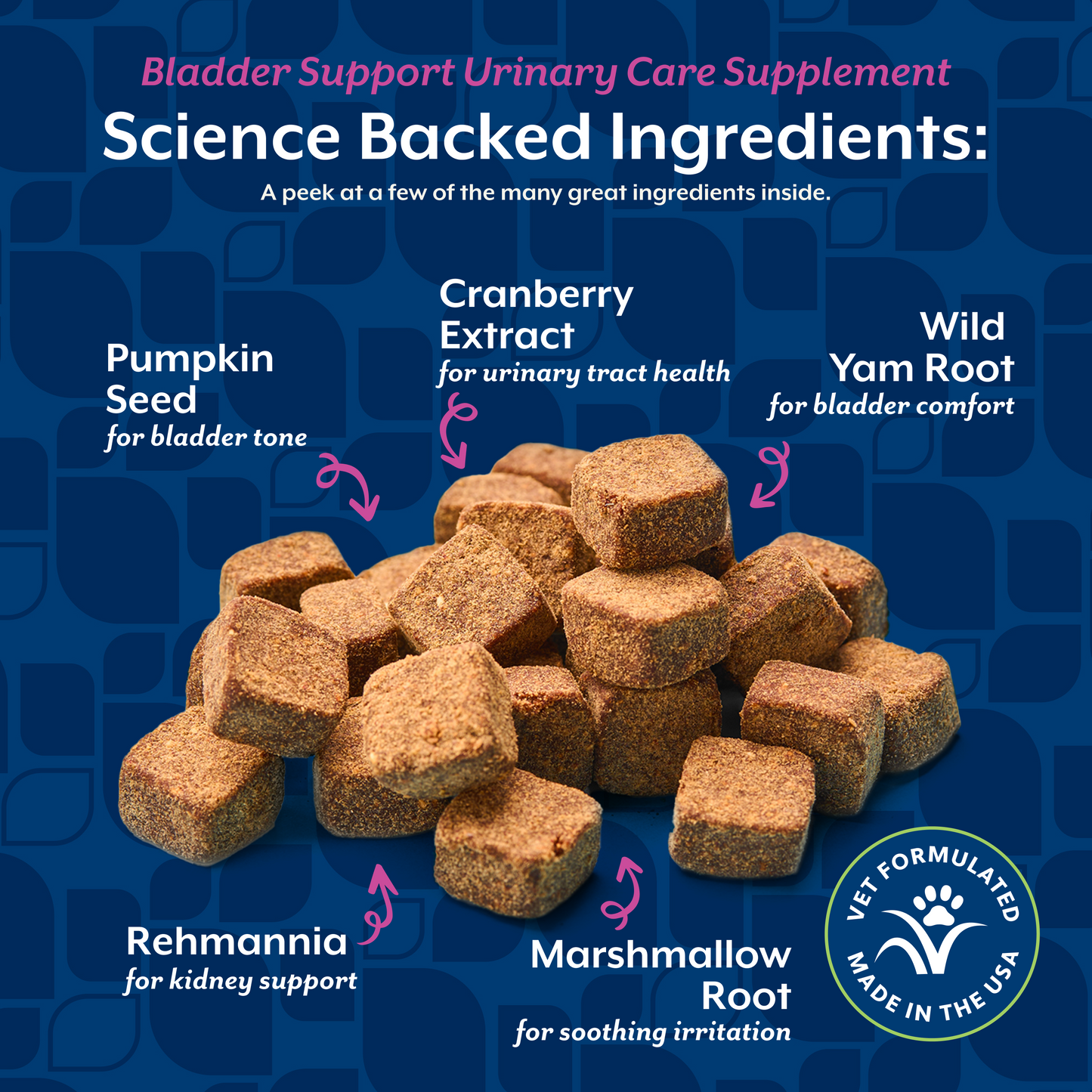 Bladder Support Soft Chews