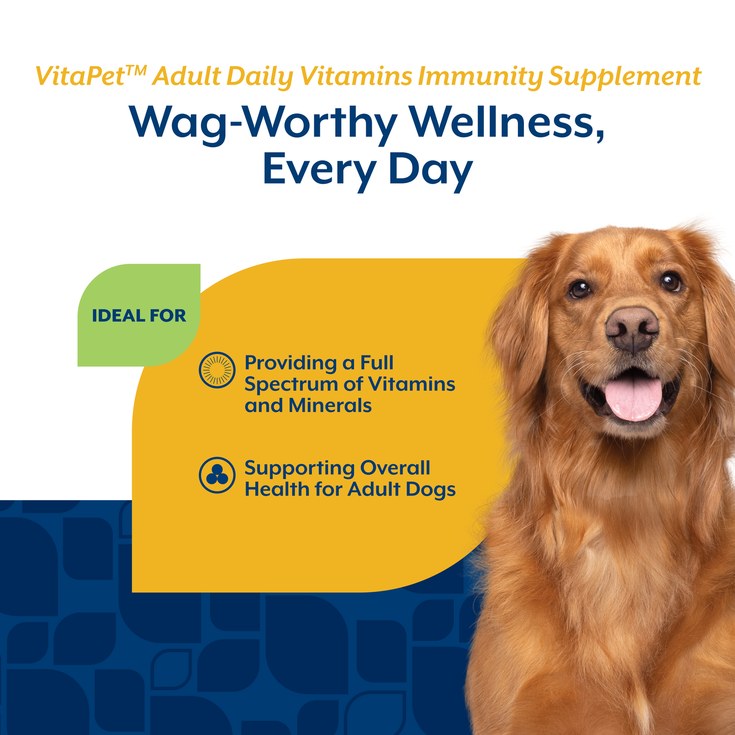 VitaPet™ Adult Daily Vitamin Soft Chews