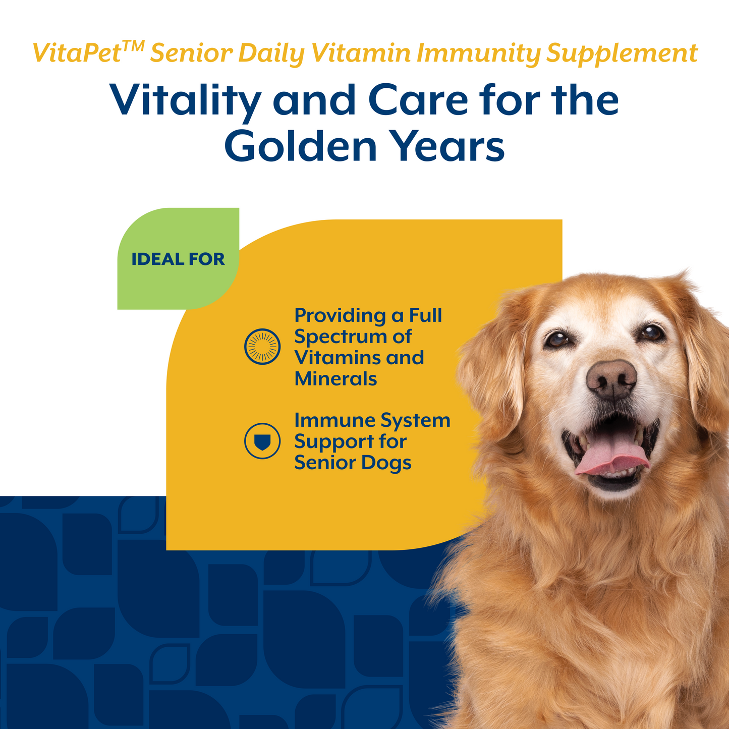 VitaPet™ Senior Daily Vitamin Immunity Soft Chews