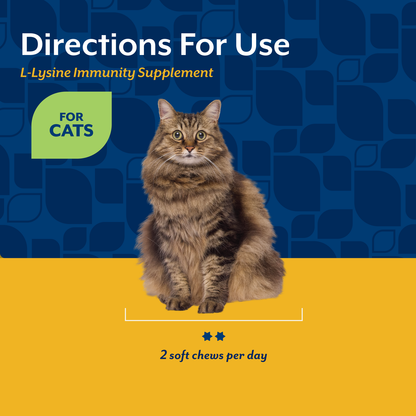 L-Lysine Soft Chews for Cats