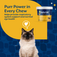L-Lysine Soft Chews for Cats