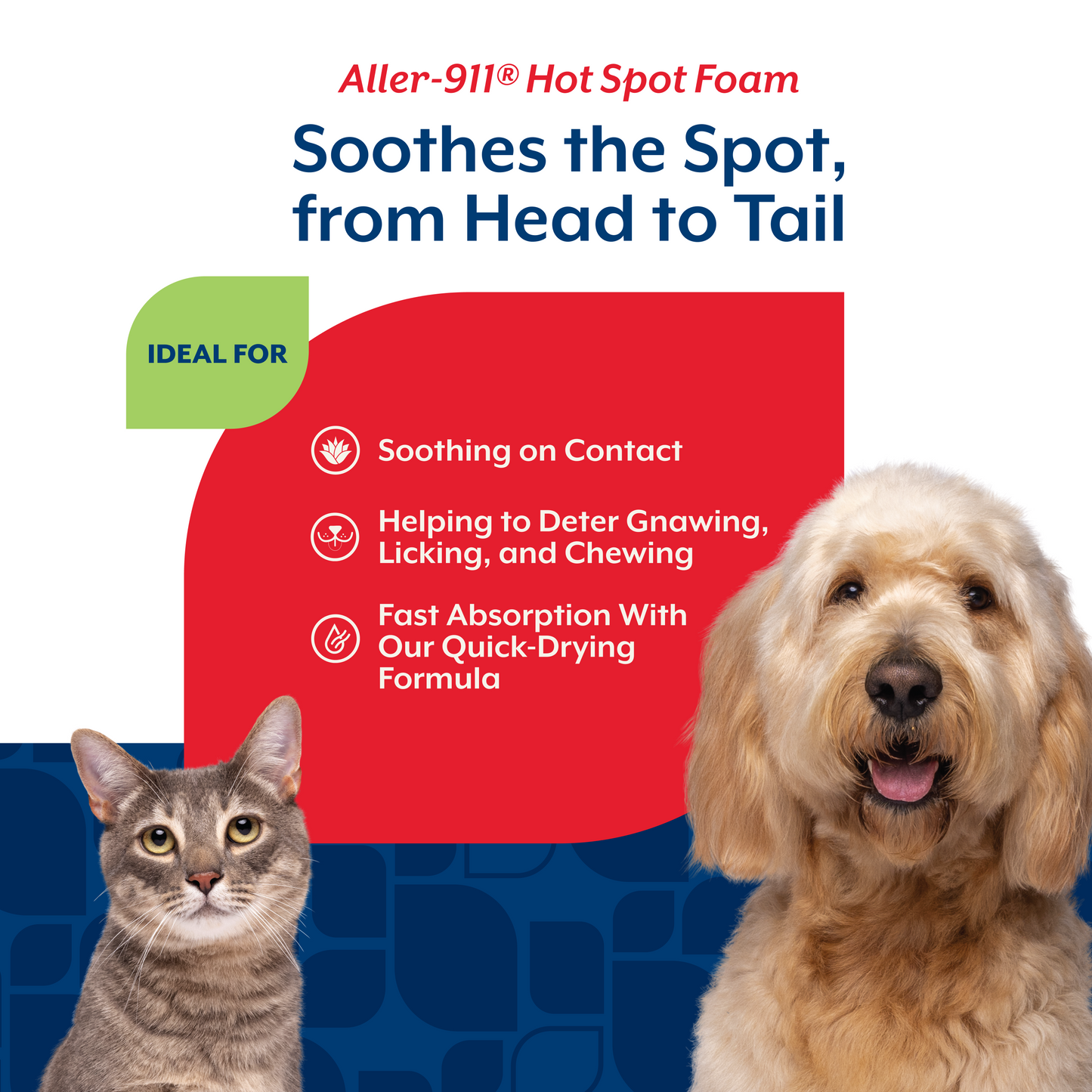 Aller-911® Hot Spot Foam