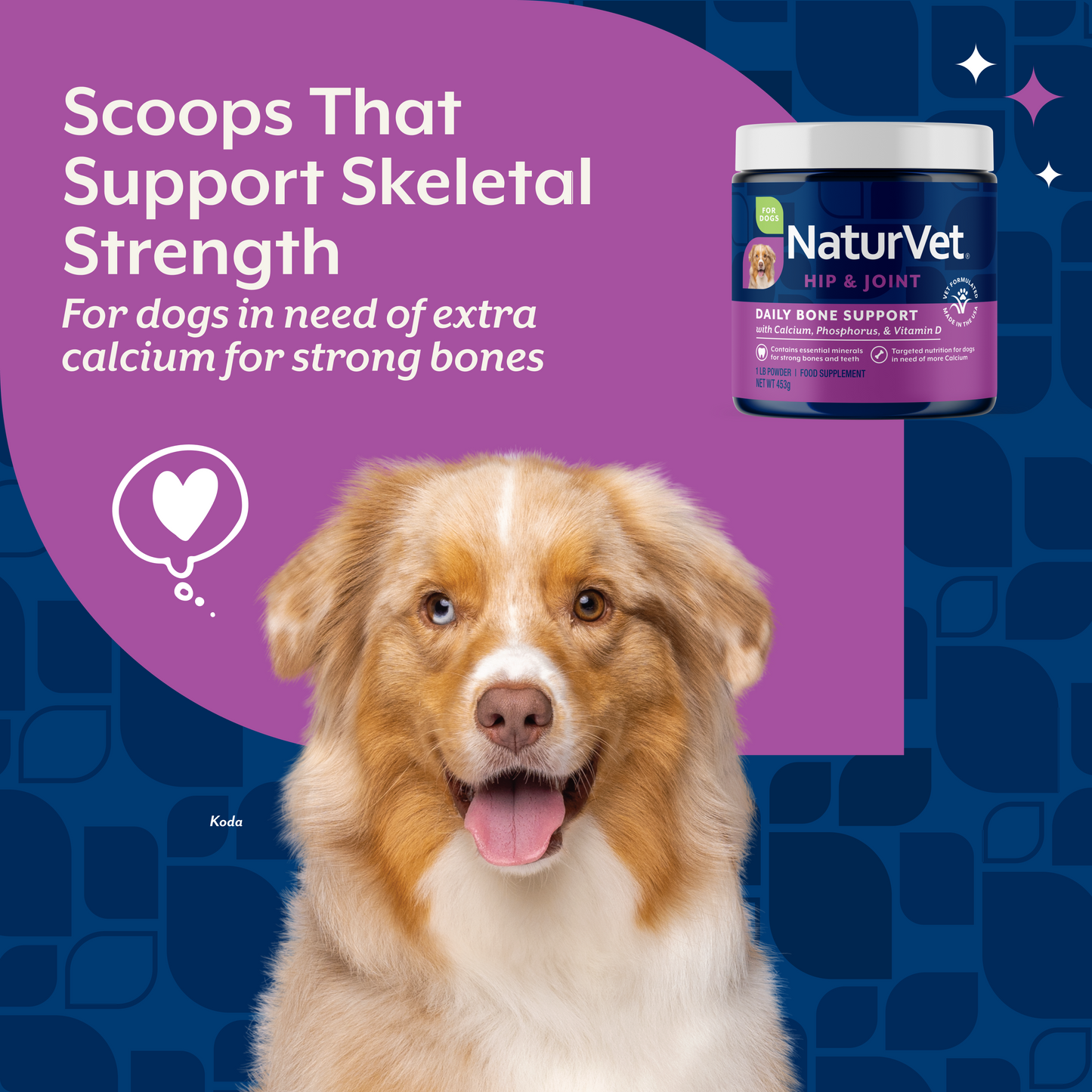 Daily Bone Support Powder (formerly Calcium-Phosphorus)
