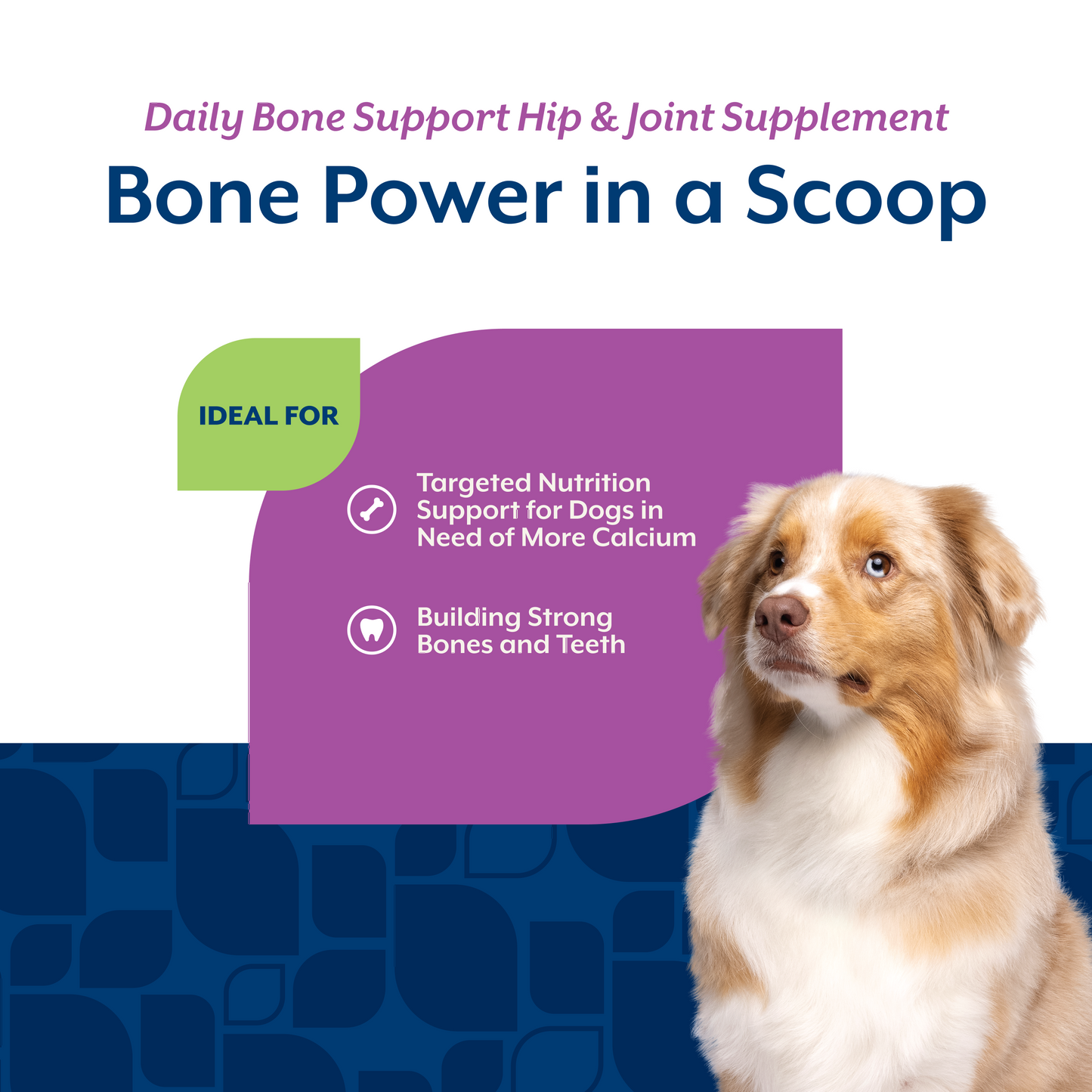 Daily Bone Support Powder (formerly Calcium-Phosphorus)