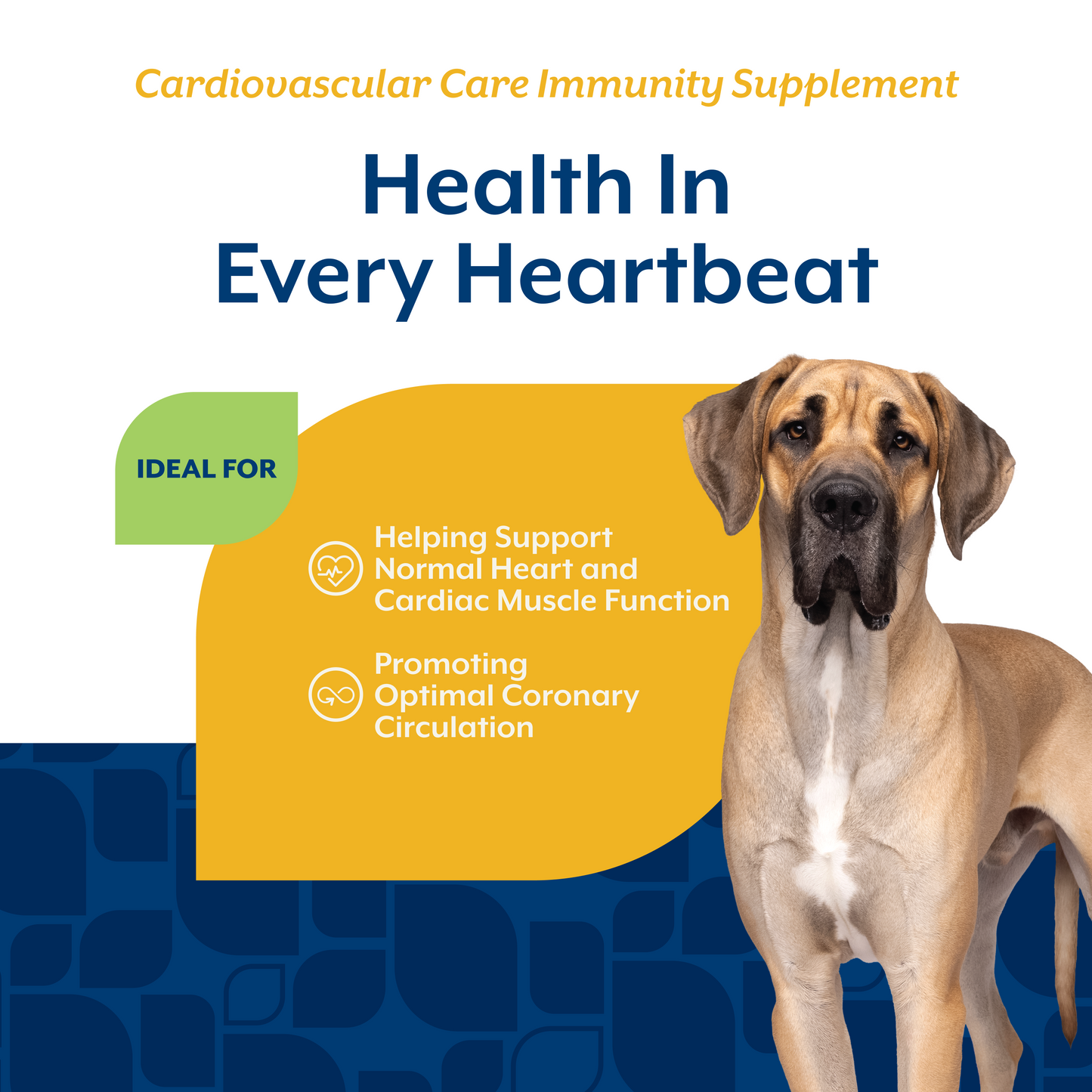 Cardiovascular Care Tablets