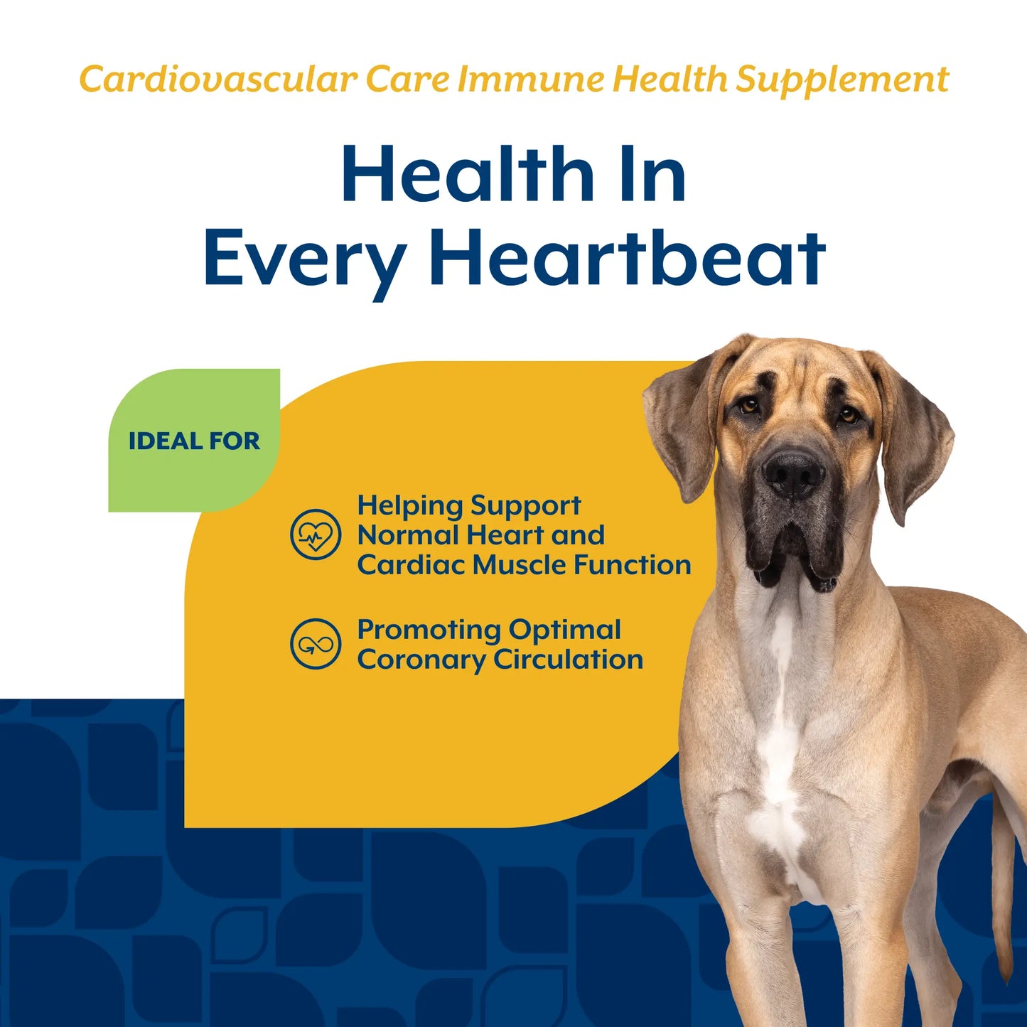Cardiovascular Care Chewable Tablets
