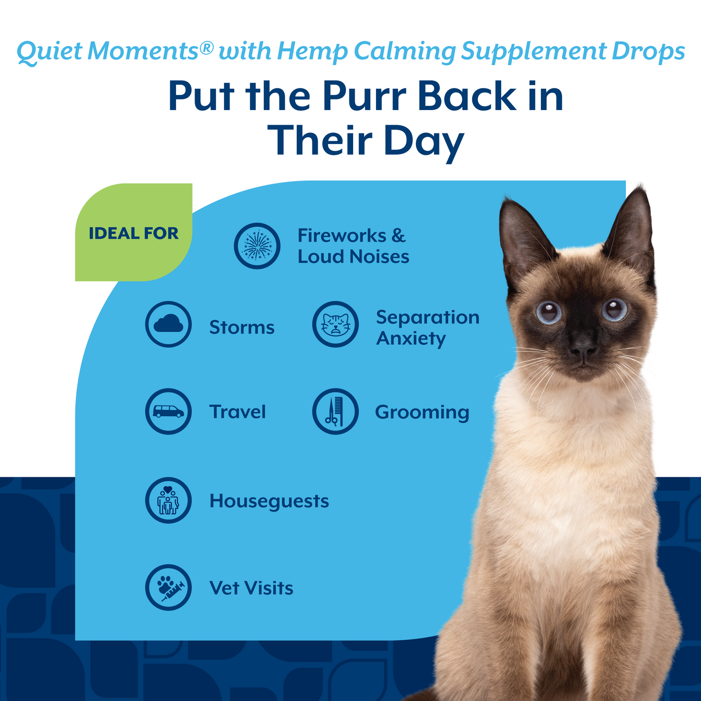 Quiet Moments® with Hemp Seed Oil Calming Drops for Cats