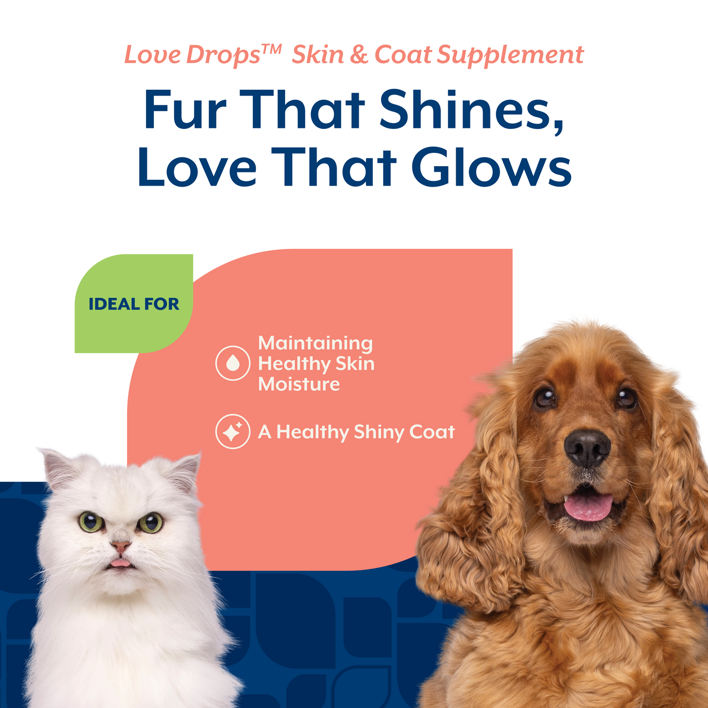 Love Drops™ Skin & Coat Tablets for Dogs and Cats