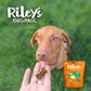 Riley's Organic Apple Recipe Baked Large Dog Treats