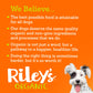 Riley's Organic Apple Recipe Baked Large Dog Treats