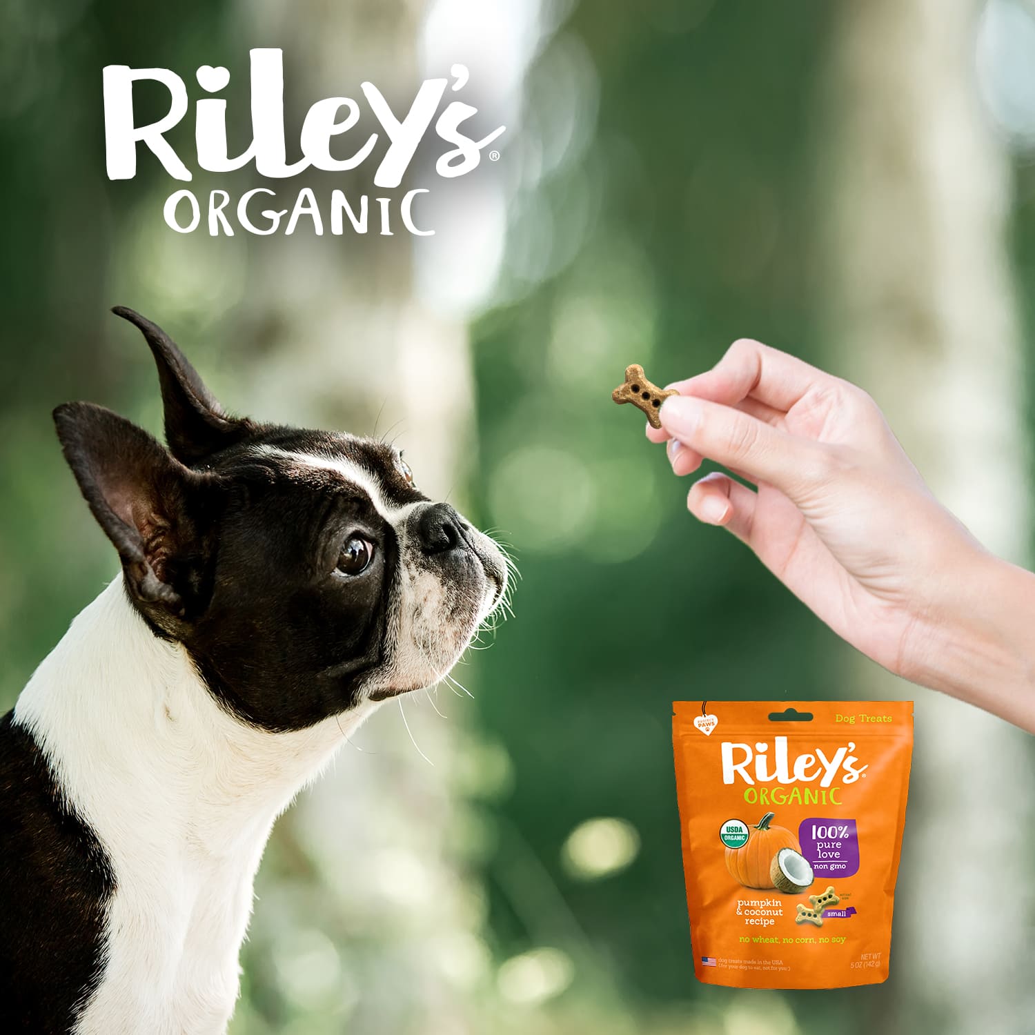 Riley s Organics Pumpkin and Coconut Small Bone Dog Treats 5 oz