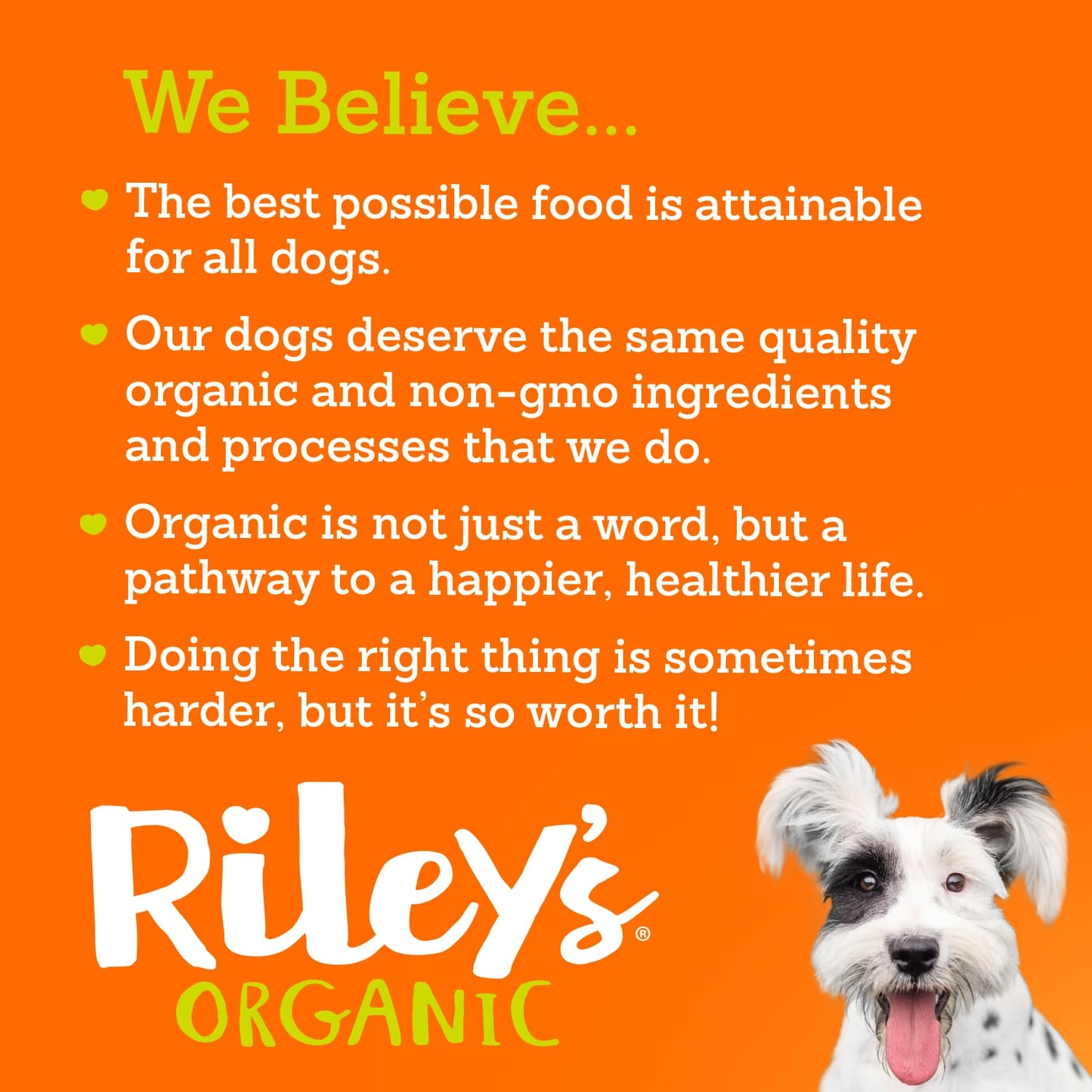 Riley's Organic Sweet Potato Recipe Baked Small Dog Treats