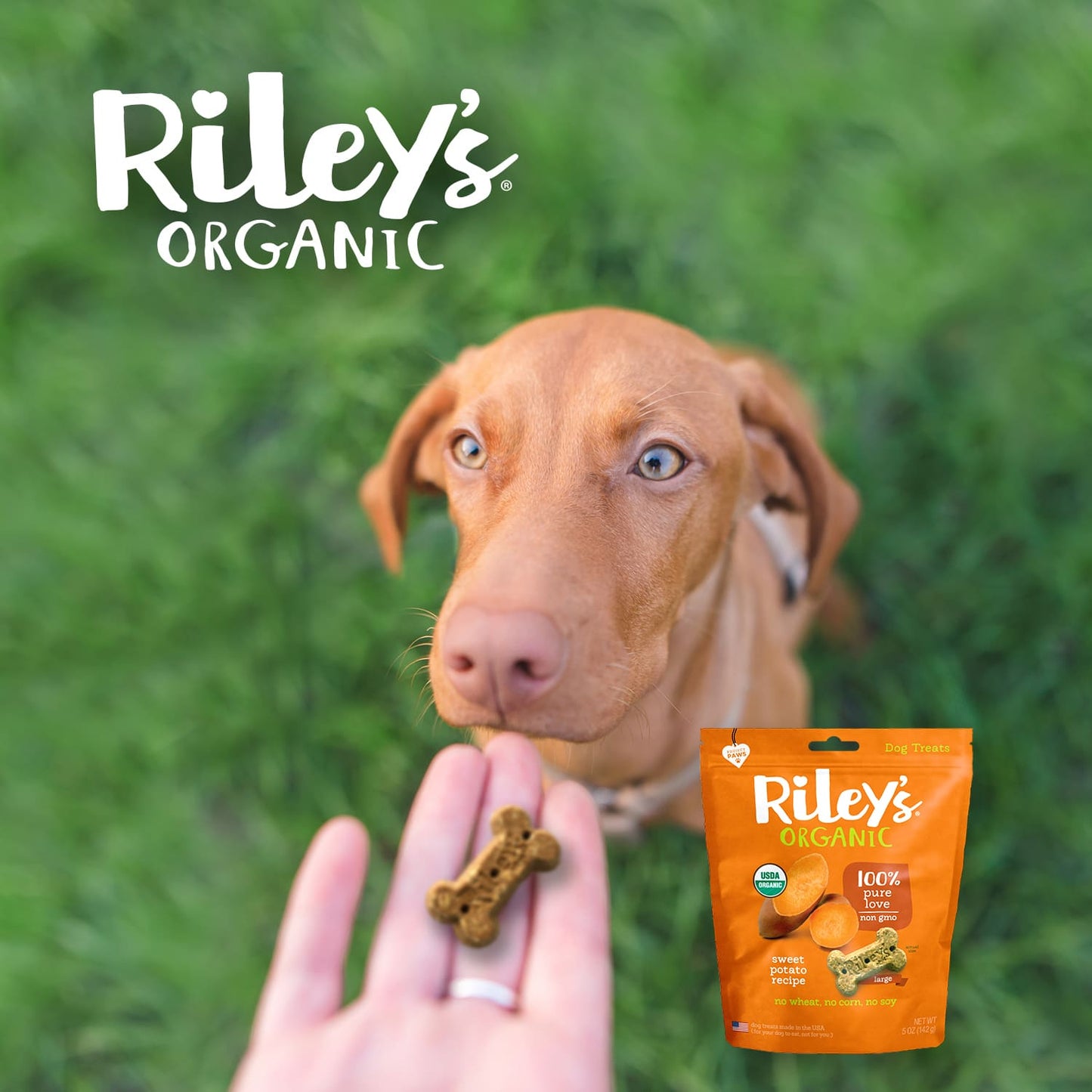 Riley's Organic Sweet Potato Recipe Baked Large Dog Treats