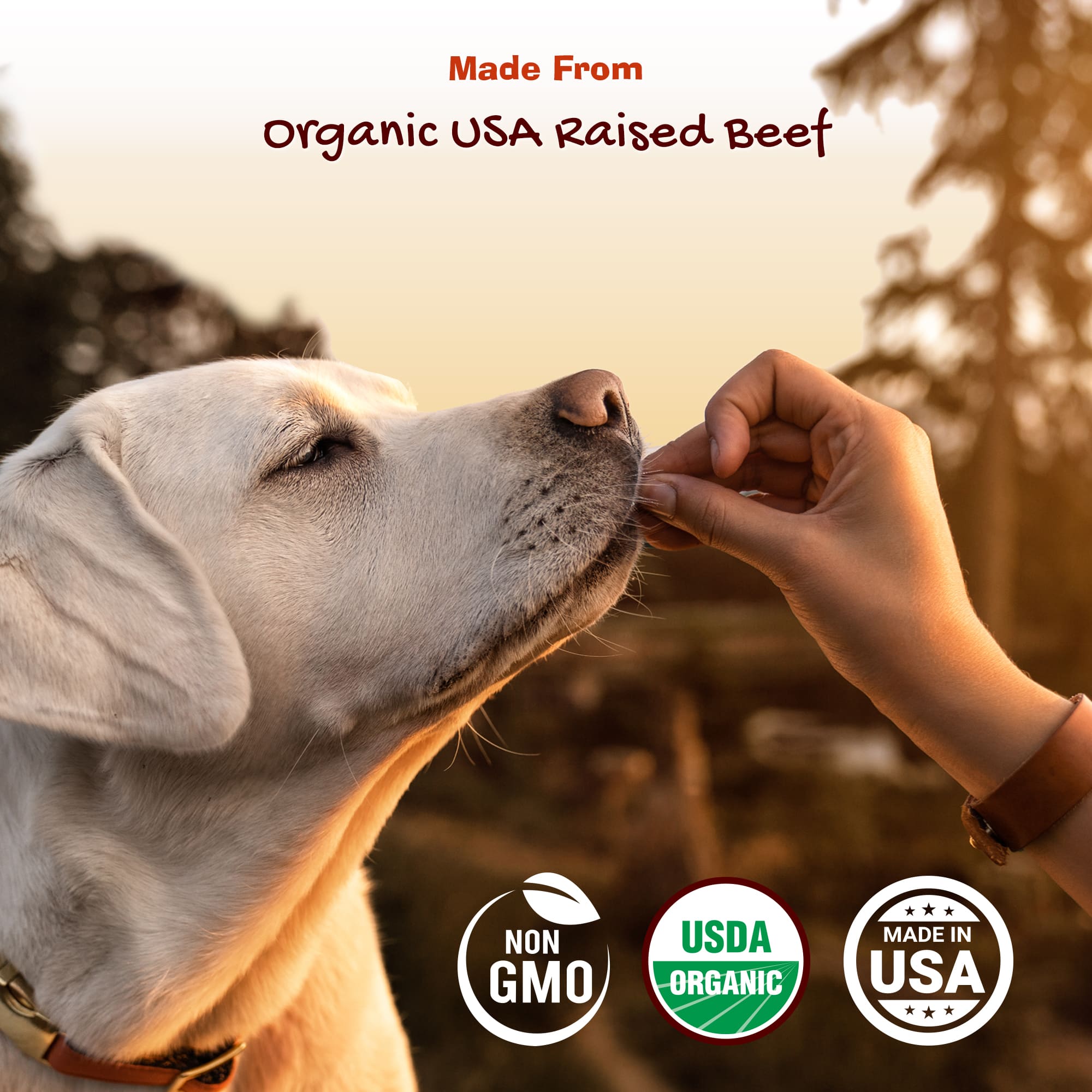 Organic beef dog food best sale